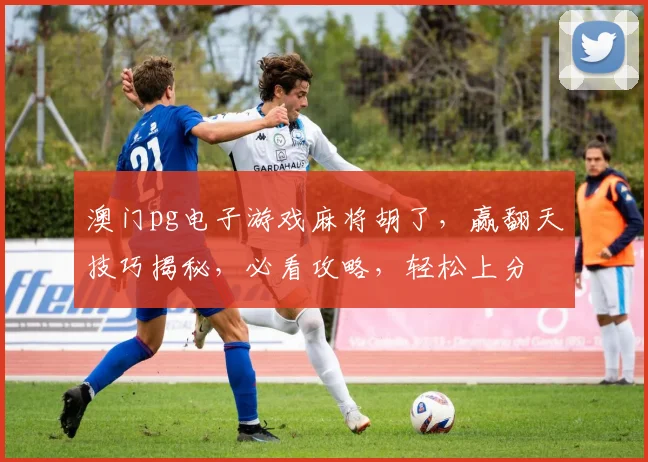 澳门pg电子游戏麻将胡了，赢翻天技巧揭秘，必看攻略，轻松上分